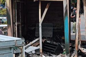 VIDEO / Bizneset ulin qepenët, protestuesit