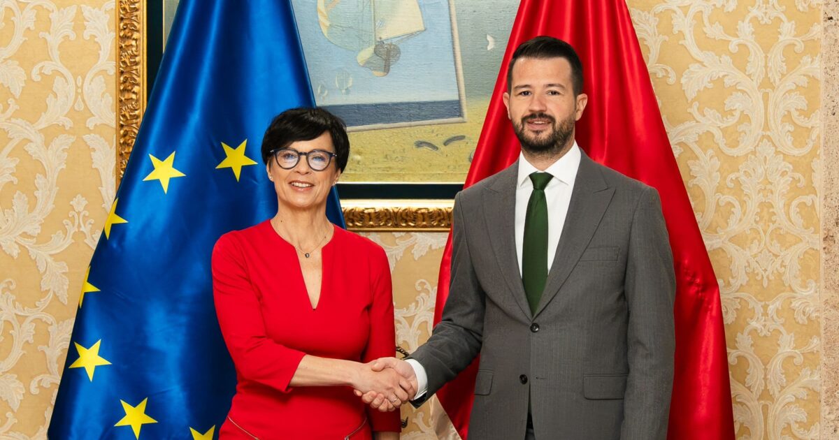 DERI NË VERËN E VITIT