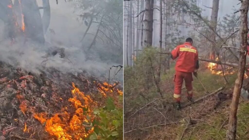 Riaktivizohet vatra e zjarrit në malet e Gjinarit në Elbasan  VIDEO 