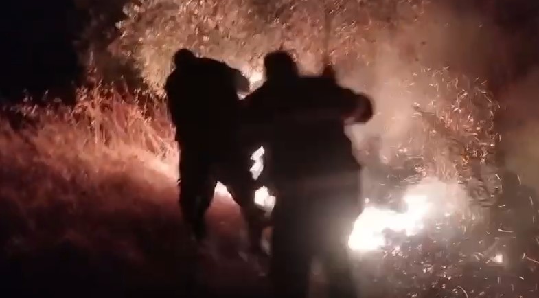Zjarri masiv në Peqin rrezikon fshatrat Galush dhe Gjevur  digjen gjatë natës një banesë dhe 25 hektarë me ullishte
