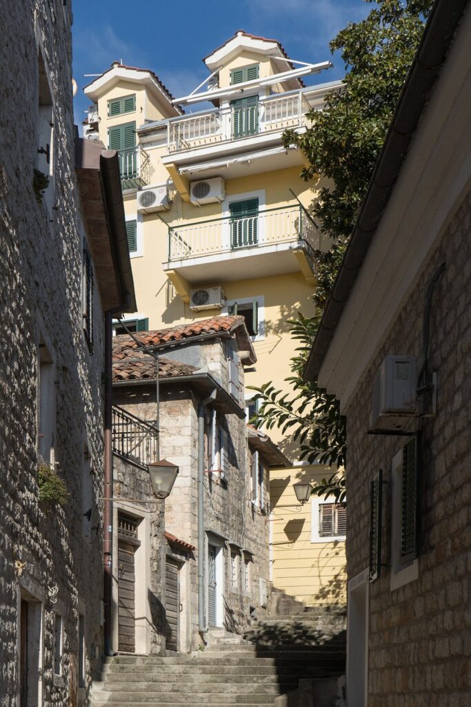 Herceg Novi  Arrestohet i dyshuari që plagosi me thikë nënën e tij  u dorëzua vetë në polici