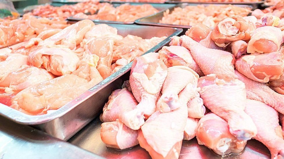 Mishi i pulës i dy markave braziliane del i kontaminuar me salmonelë  AUV urdhëron tërheqjen nga tregu