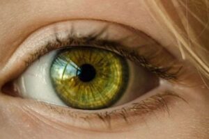Retina zbulon sinjale të sëmundjeve: nga