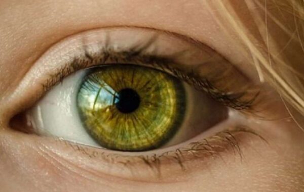 Retina zbulon sinjale të sëmundjeve: nga