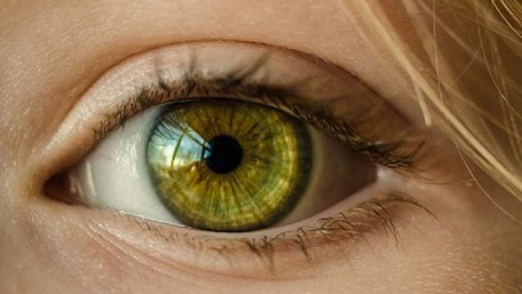 Retina zbulon sinjale të sëmundjeve: nga