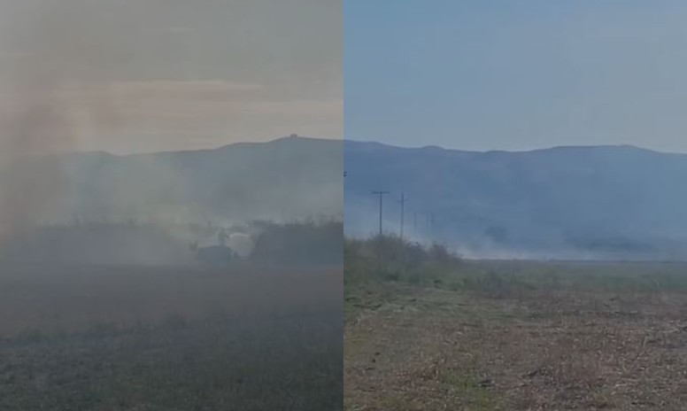 Zjarr në fshatin Armen të Selenicës  era e fortë favorizon përhapjen e flakëve  VIDEO 