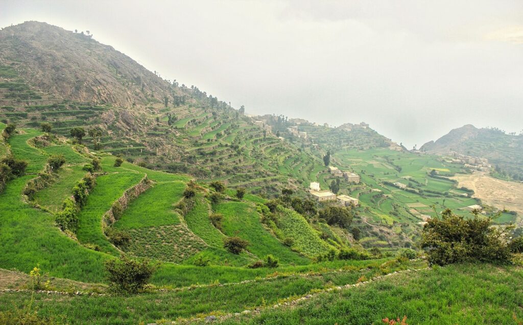 OBSH  Spitalet në Taiz përballen me mungesa kritike të karburantit  oksigjenit dhe barnave