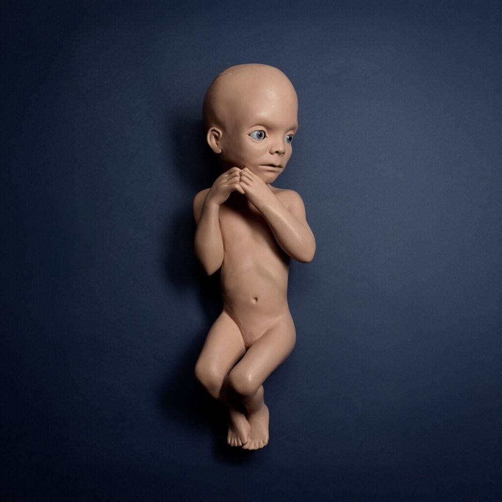 Bonhams nxjerr në ankand për herë të parë arkivin personal të Stanley Kubrick ut  «Fëmija yjor» i 2001  A Space Odyssey vlerësohet deri në 800 000 stërlina