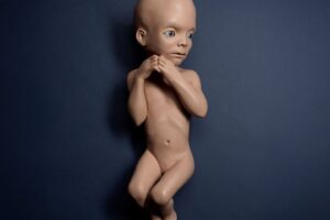 Modeli origjinal i Fëmijës yjor nga 2001: A Space Odyssey