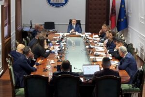 demokratë të