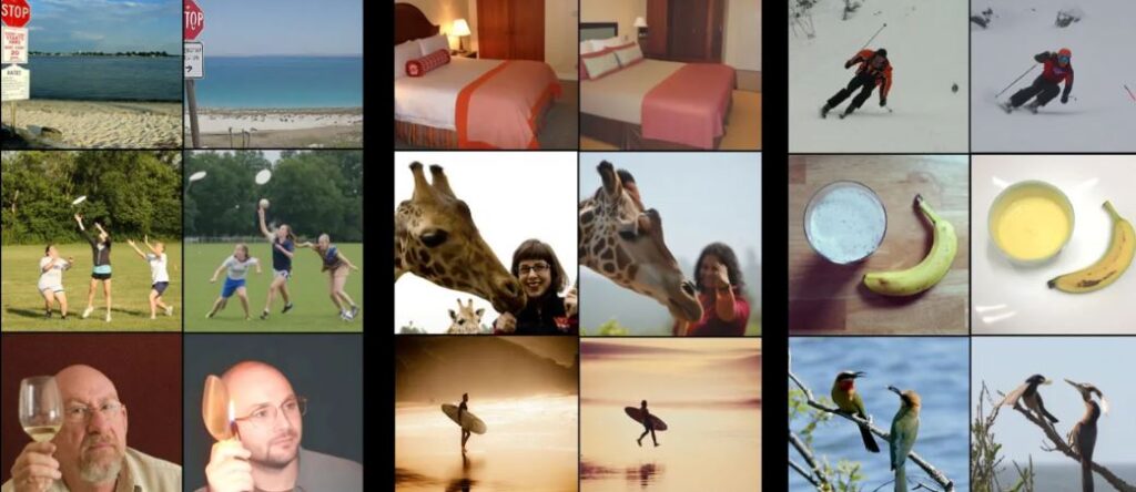 AI mund të  lexojë mendjen   Nga skanimi i trurit te fotografia  projekti mjekësor në Izrael rikrijon atë që sheh përdoruesi