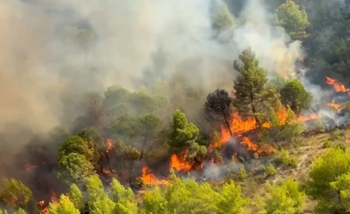 Zjarret në Peqin, shoqërohet në Polici