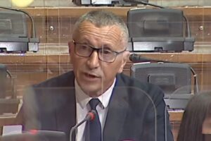 dy deputetë në