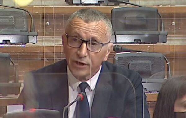 dy deputetë në
