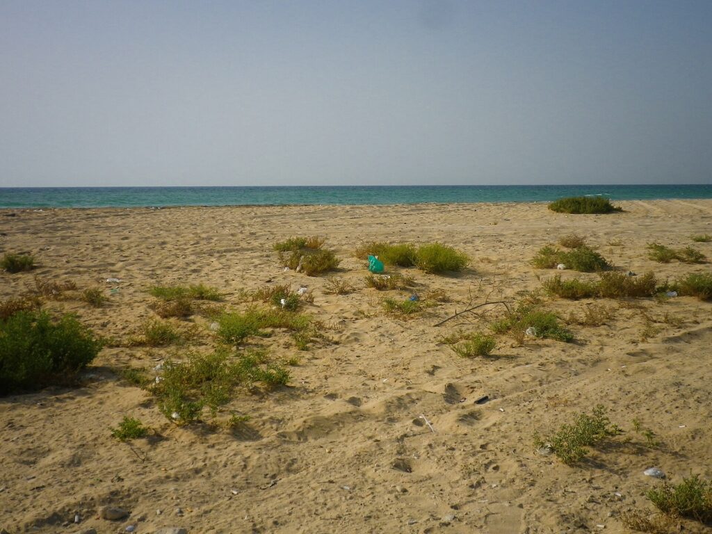 Emiratet mbyllin plazhet në Umm Al Quwain pas derdhjes së naftës nga një cisternë